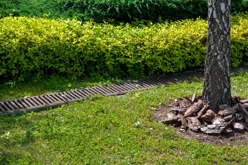 Residential Landscape Drainage in Birmingham, AL